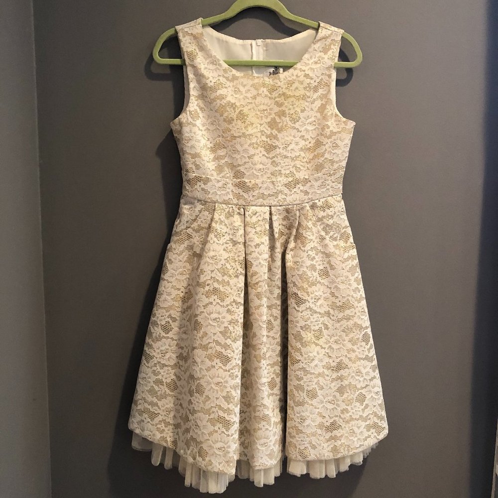 Fancy Sparkly Girl's Dress